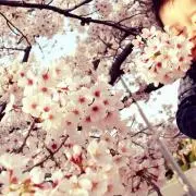 みらいの画像