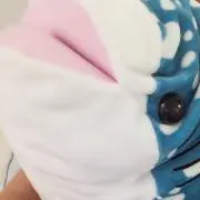 さかなの画像
