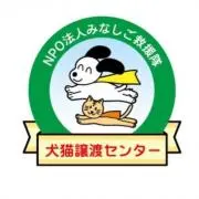 犬猫譲渡センター【購入時はコメント必見】の画像