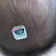 ミルクレープの画像