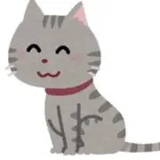 ひえだ　まとめ買い100円引きの画像