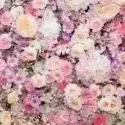 R＊プロフ必読の画像