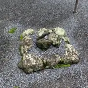 MINEMU Galleryの画像