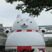 あかいとりことり