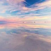 maaの画像