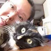けいこ