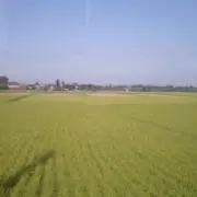 JiJiの画像