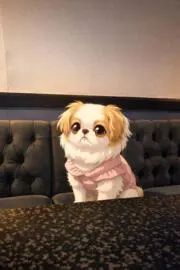 ちぃ[購入の際プロフ確認お願いします]の画像