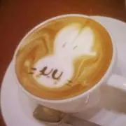 saku@