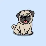 ppsの画像