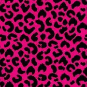 ZEEの画像