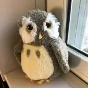ふくの画像