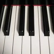 林檎の画像