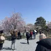 通りすがりの女の画像