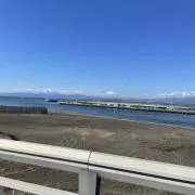 やなぎの画像