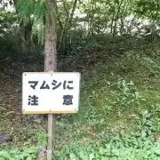 Ｆunkyの画像
