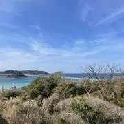 サニーデイズの画像