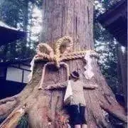 NYの画像