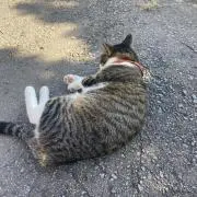 M.Nの画像