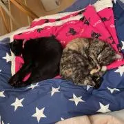 ユウキ