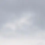 やの画像