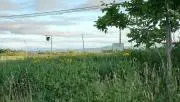 sentretwalkの画像