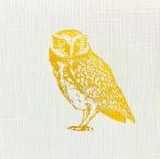ぽこの画像