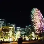 ひまわりの画像