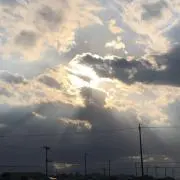 テイカーの画像