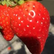 プーさん