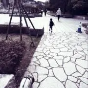 ルルの画像