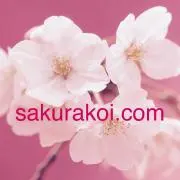 桜恋:プロフ必読！値下待ち。のいいね迷惑の画像