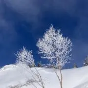 julaftonの画像