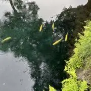 Aの画像