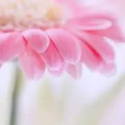 みぃの画像