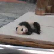 ずみ