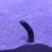 ❤︎の画像