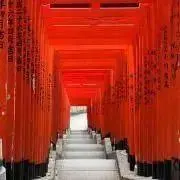 Poiseの画像