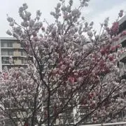 ☆バタフライ