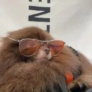 林檎