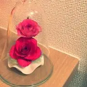 らっこ