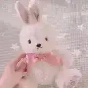 ひつじの画像
