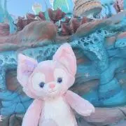 みーの画像