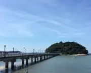かーちゃんの画像