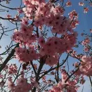 Into Intoの画像