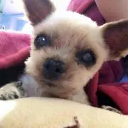 まなの画像