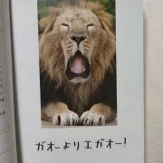 ug