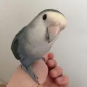 zachの画像