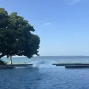 じゃーなるの画像