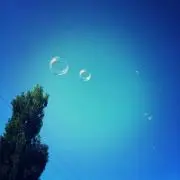 おもち。